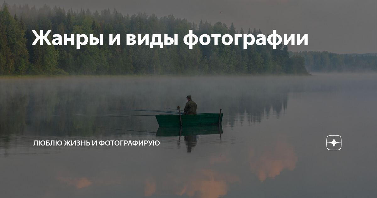 Жанры и виды фотографии | Люблю жизнь и фотографирую | Дзен