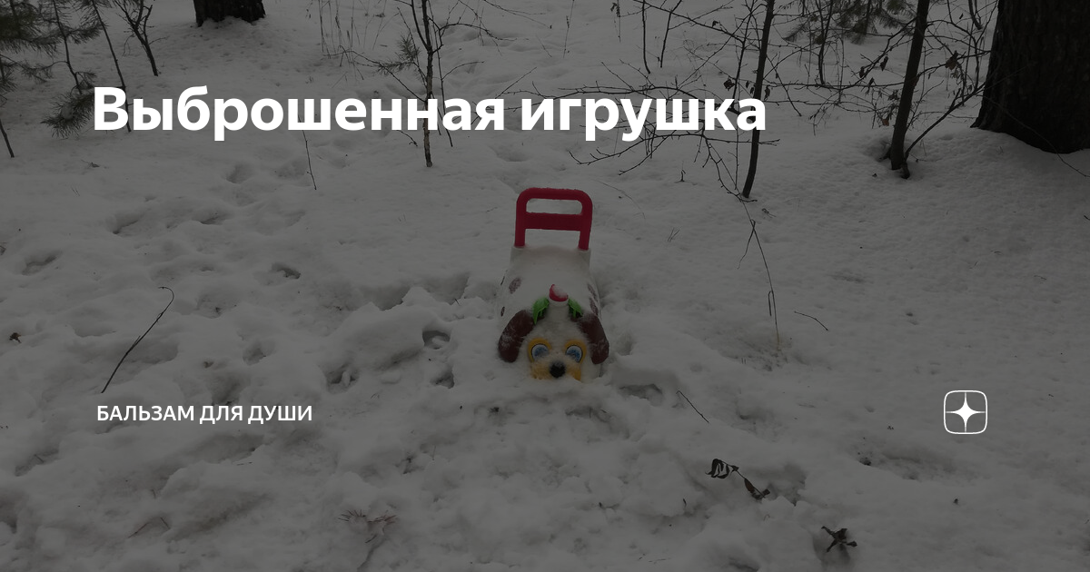 Выброшенная игрушка | Бальзам для души | Дзен