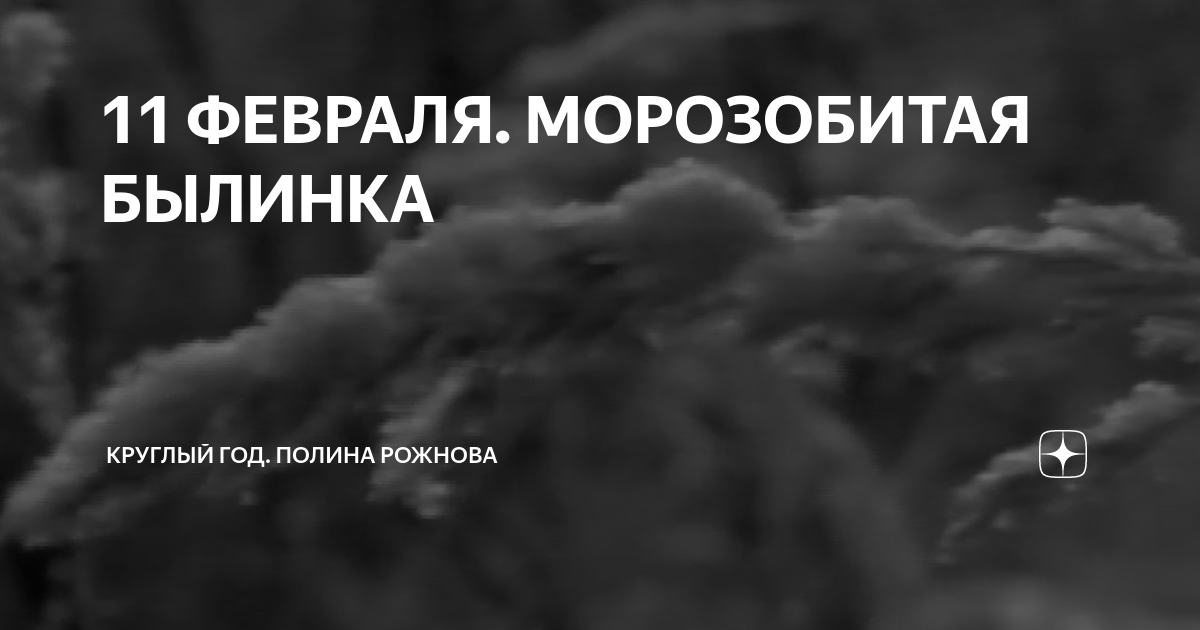 11 ФЕВРАЛЯ. МОРОЗОБИТАЯ БЫЛИНКА | Круглый год. Полина Рожнова | Дзен