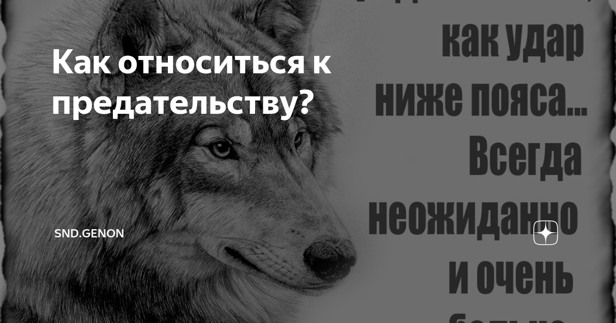 Как относиться к предательству? | Фея мотивации | Дзен