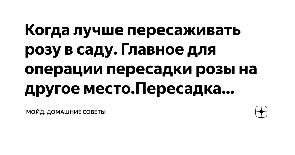 Когда и как пересаживать розы: основные моменты и советы