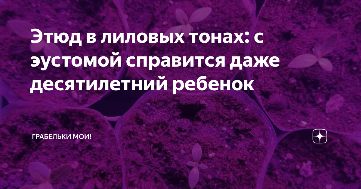 спальни в светло сиреневом и лиловых тонах