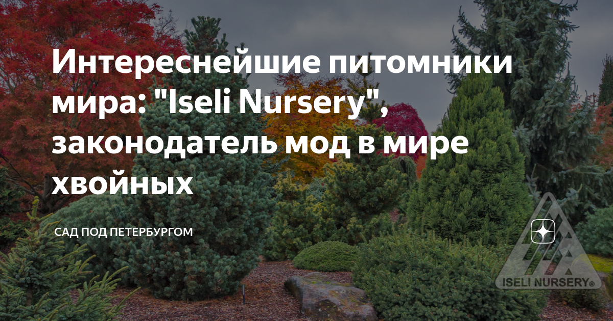 Интереснейшие питомники мира: "Iseli Nursery", законодатель мод в мире ...