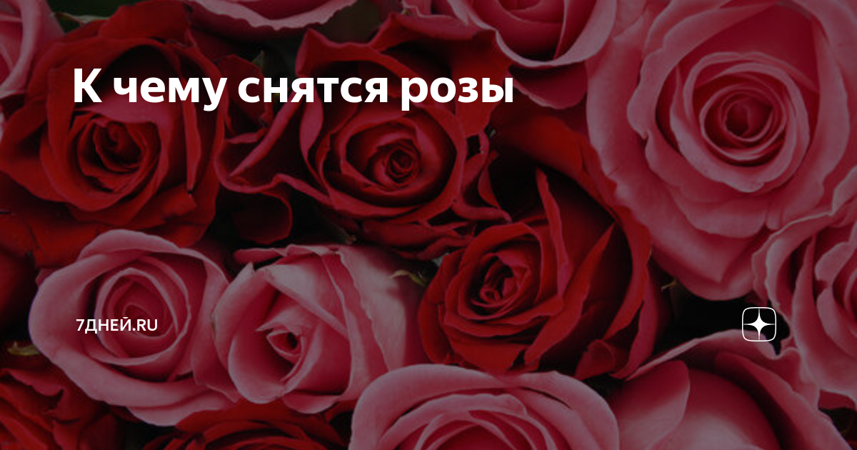 Ответы webmaster-korolev.ru: к чему снятся розы???