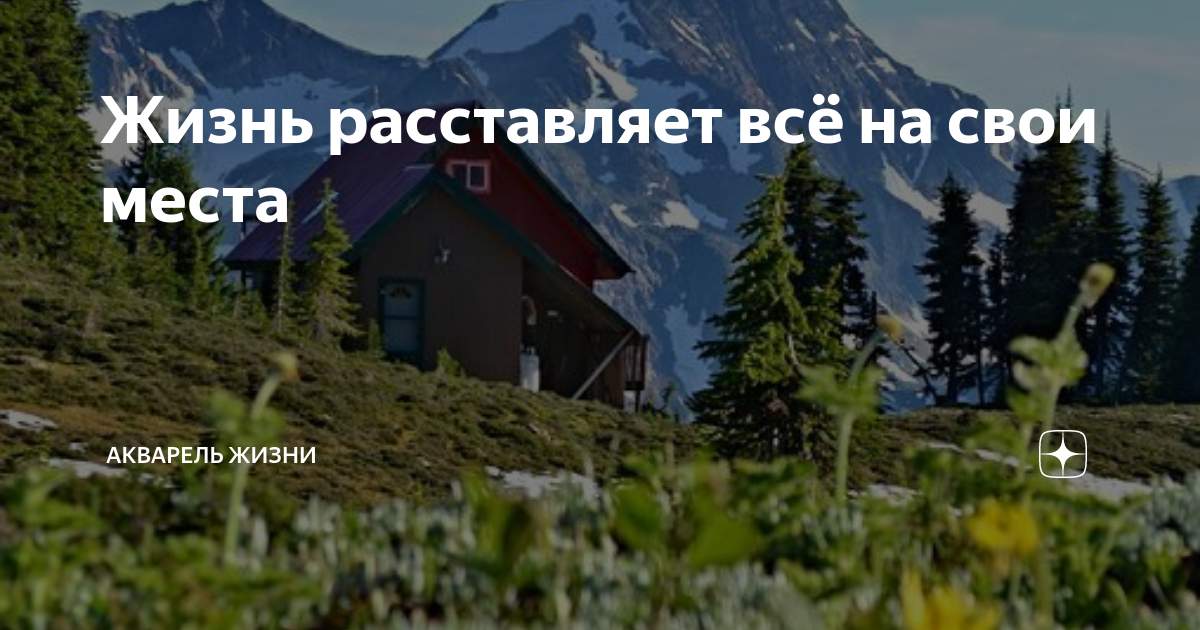 Жизнь расставляет всё на свои места | Акварель жизни | Дзен