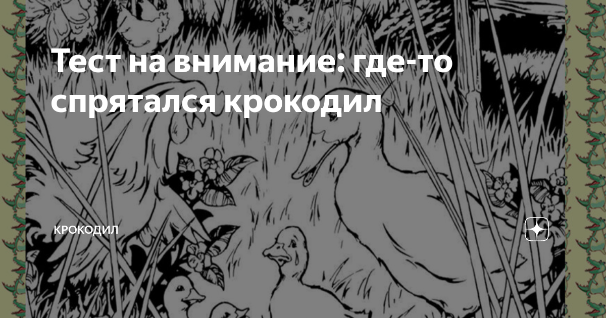 Тест на внимание: где-то спрятался крокодил | Крокодил | Дзен