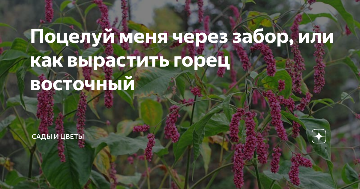 Неактивно