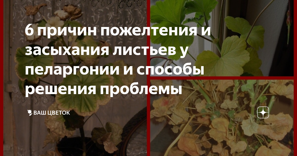 Методы решения проблемы