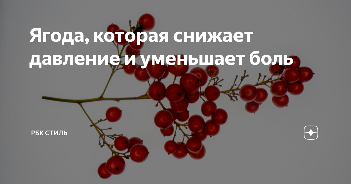 калина красная ягода от давления. ягоды калины от давления. калина красная ягода от давления. калина красная для давления. калина полезные свойства.