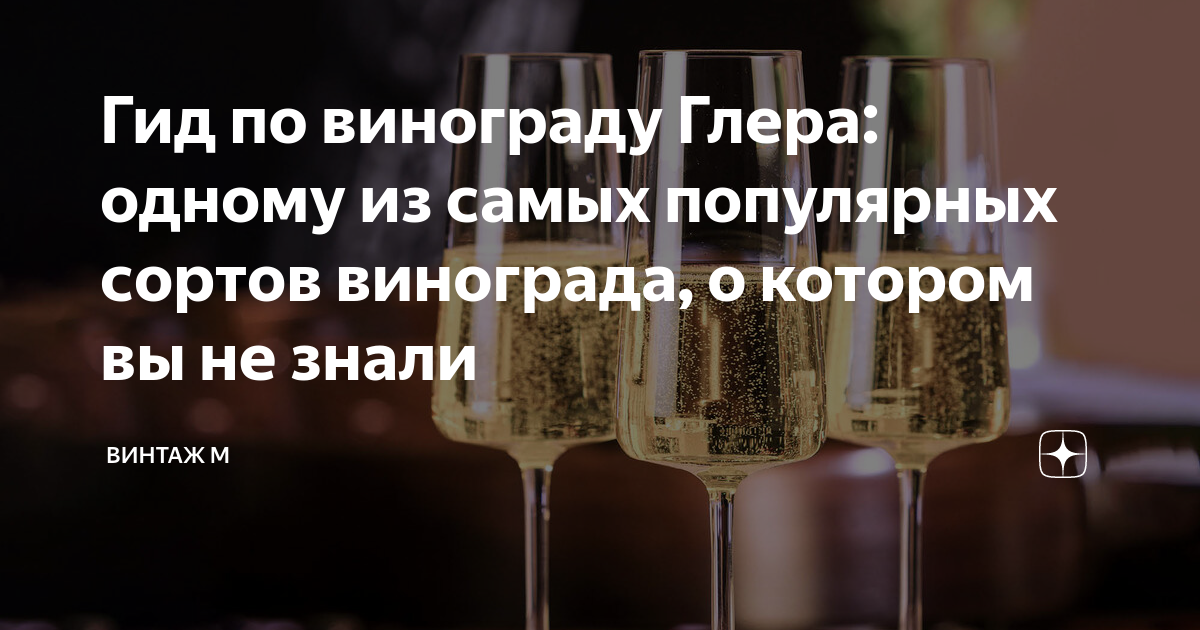 Гид по винограду Глера: одному из самых популярных сортов винограда, о ...