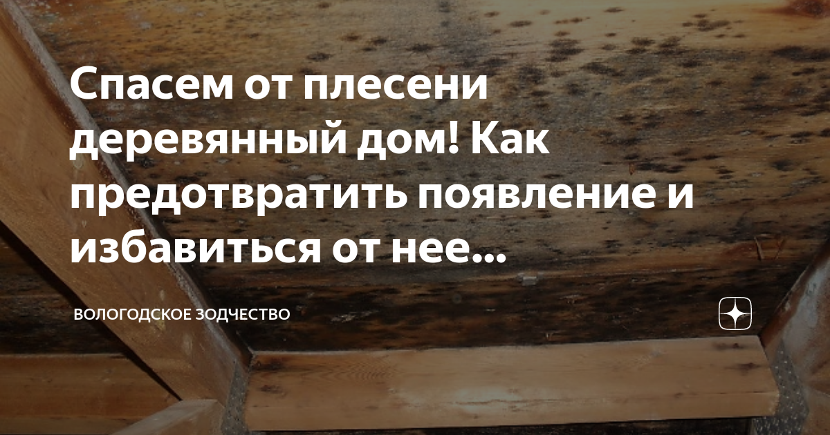 Как избавить деревянные поверхности от домового грибка?