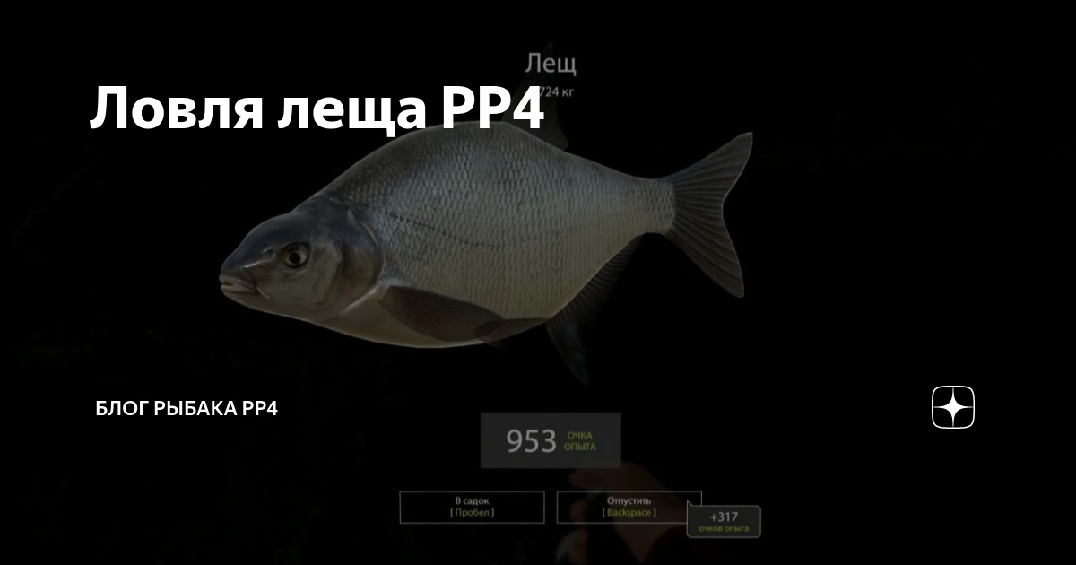 Steam Community :: Screenshot :: Старый Острог и троф лещ