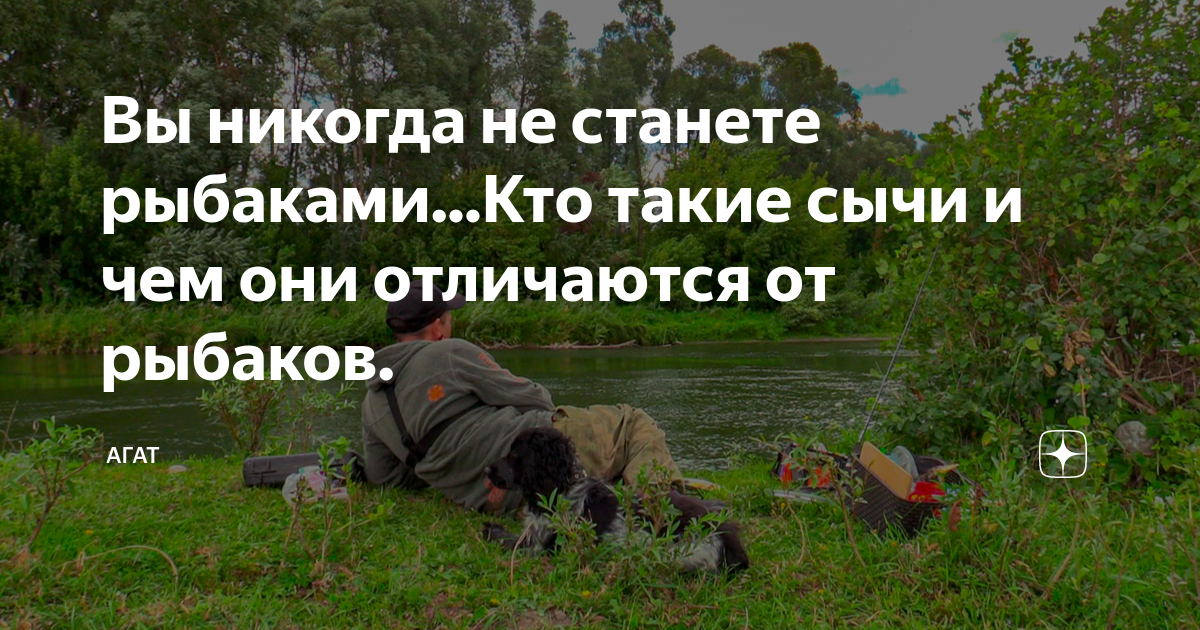 Вы никогда не станете рыбаками...Кто такие сычи и чем они отличаются от ...