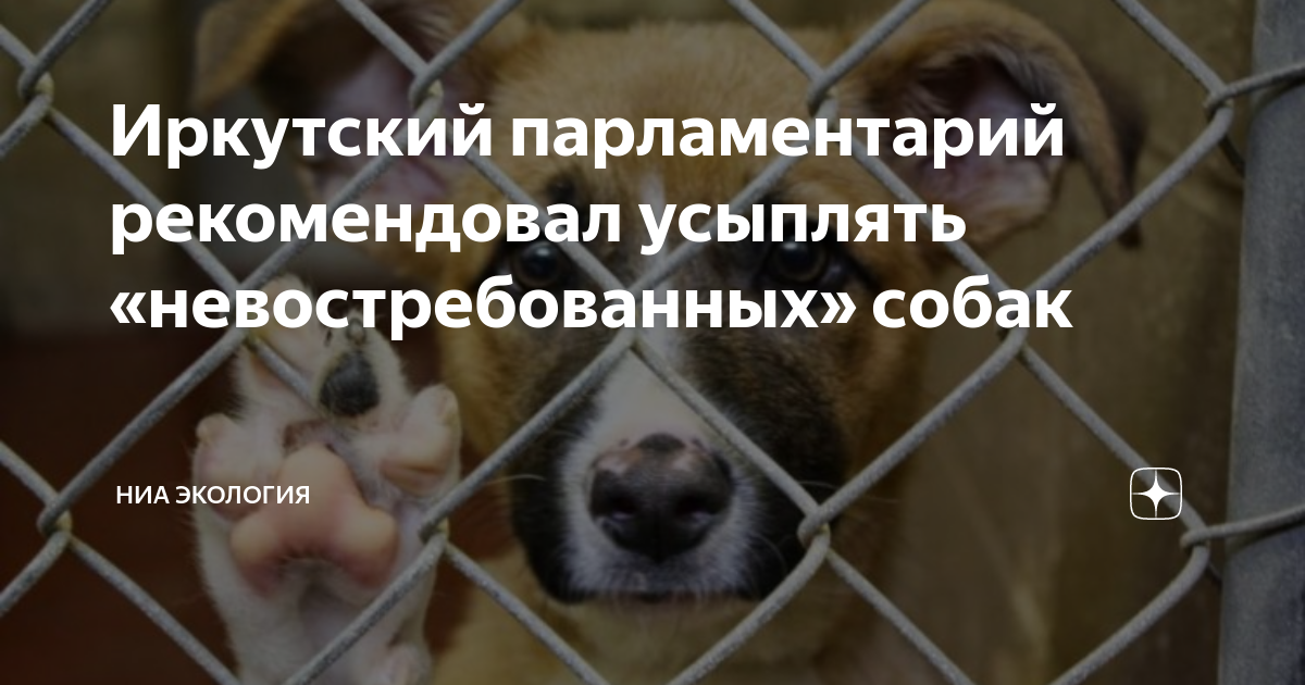 Борьба за жизнь Чарли