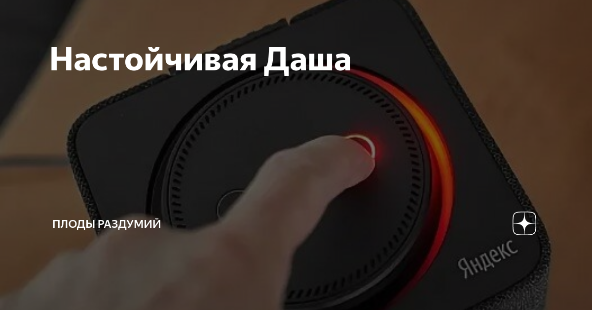 плоды раздумий дзен