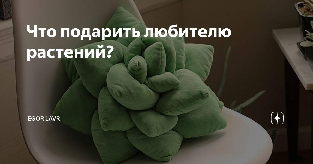 Что подарить любителю растений? | Egor Lavr | Дзен