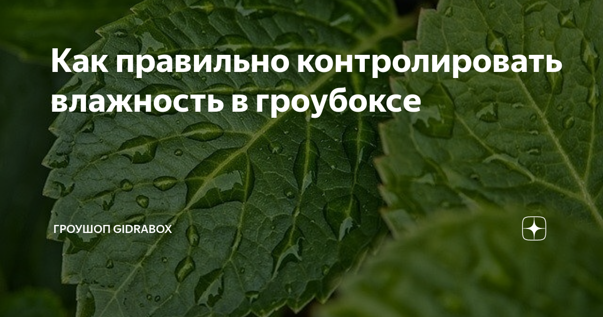 Как правильно контролировать влажность в гроубоксе | Гроушоп GidraBox ...