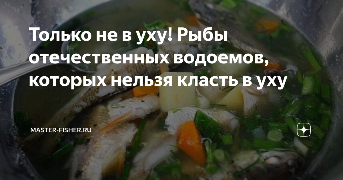 Уха какую рыбу выбрать