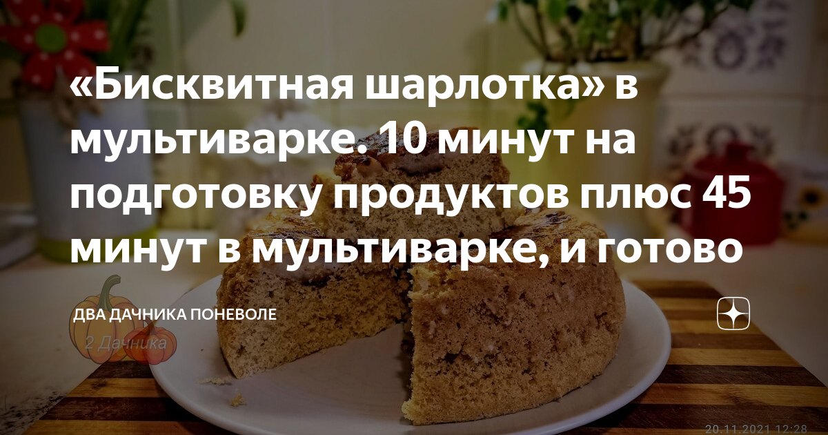 20 рецептов шарлотки на все случаи жизни