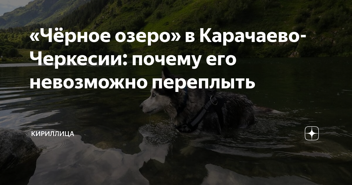 почему в черкесии долгое время сохранялся. мухаджирство черкесов 1864. почему в черкесии долгое время сохранялся. народы кавказа 19 век адыги. расселение черкесов до кавказской войны.