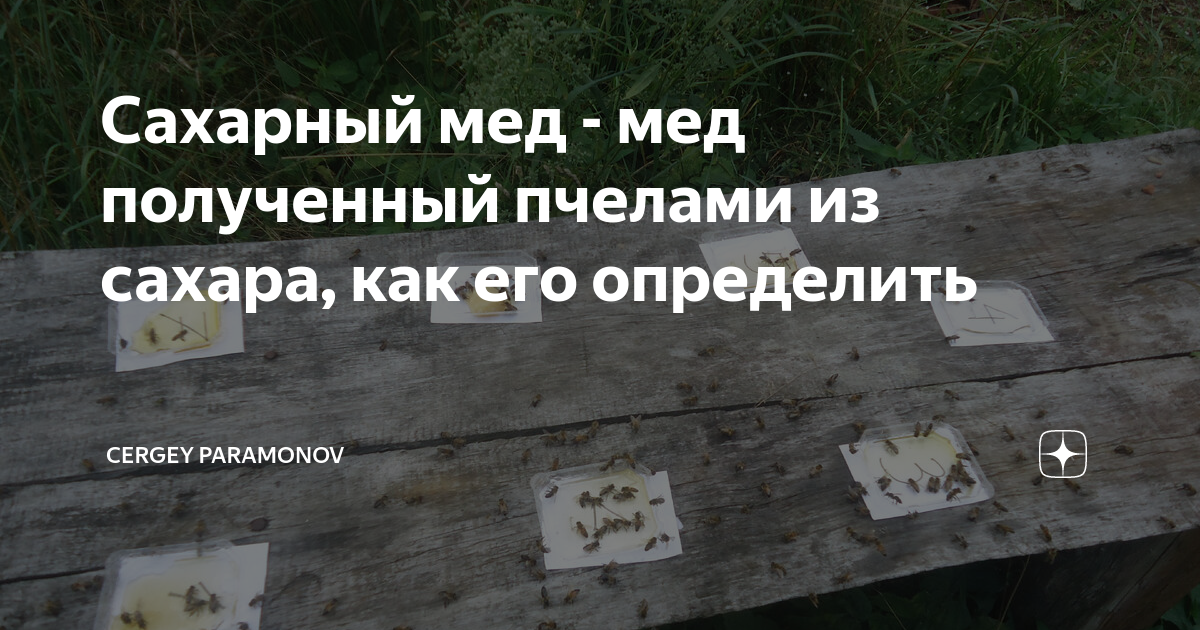 Сахарный мед - мед полученный пчелами из сахара, как его определить ...