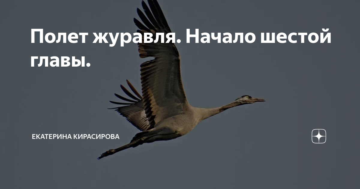 Начиная с 6 апреля. Журавль в полете. Маршрут полет журавлей над Россией.