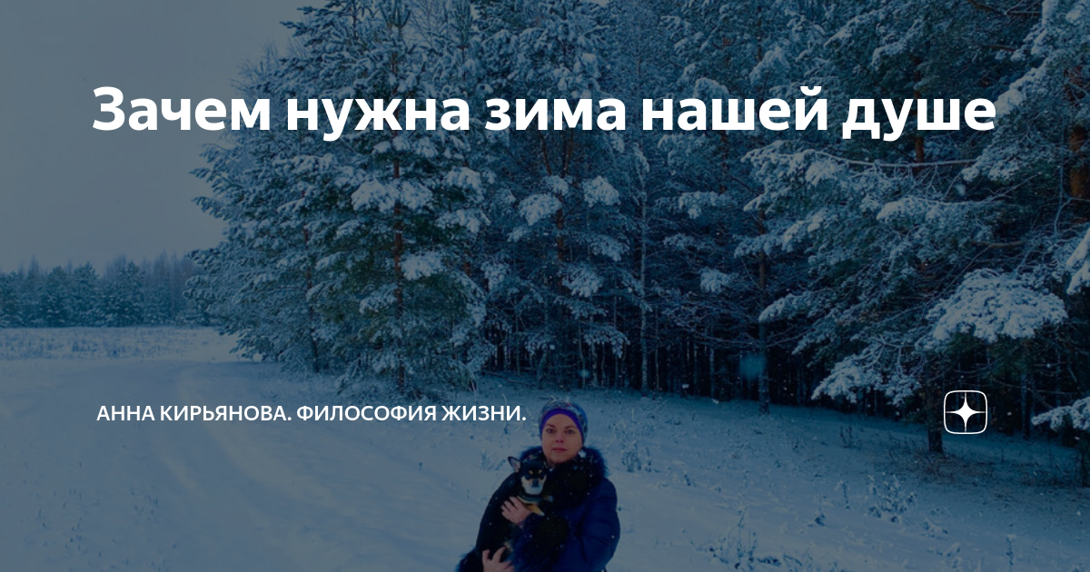 кормим зимующих птиц. проект зимующие птицы. строение снежного покрова. почему нужна зима. покормите птиц зимой.