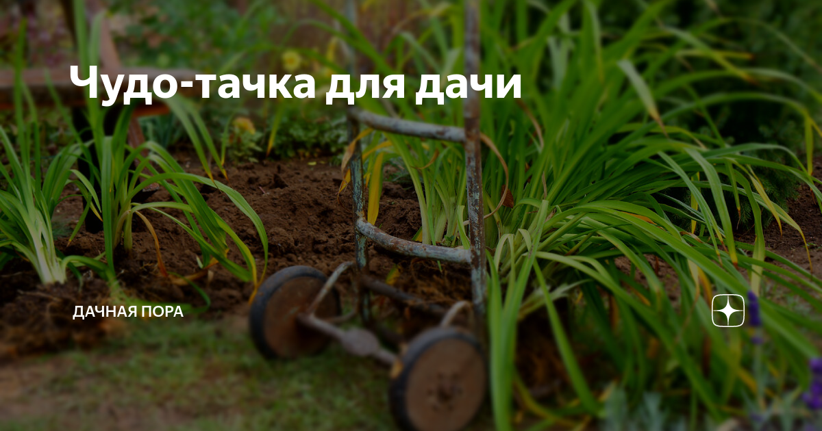 Чудо-тачка для дачи | ДАЧНАЯ ПОРА | Дзен