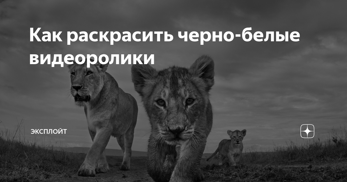 как перейти из черного в блонд