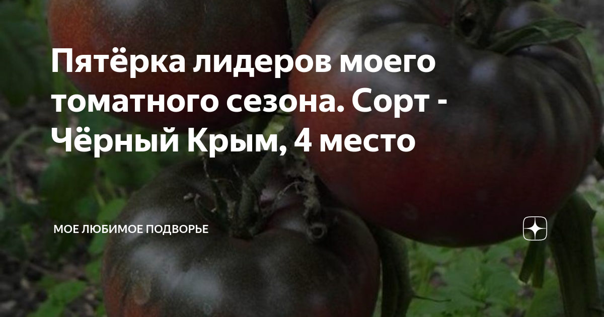 Пятёрка лидеров моего томатного сезона. Сорт - Чёрный Крым, 4 место ...