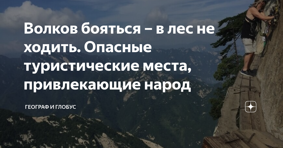 Картинка волков бояться в лес не ходить