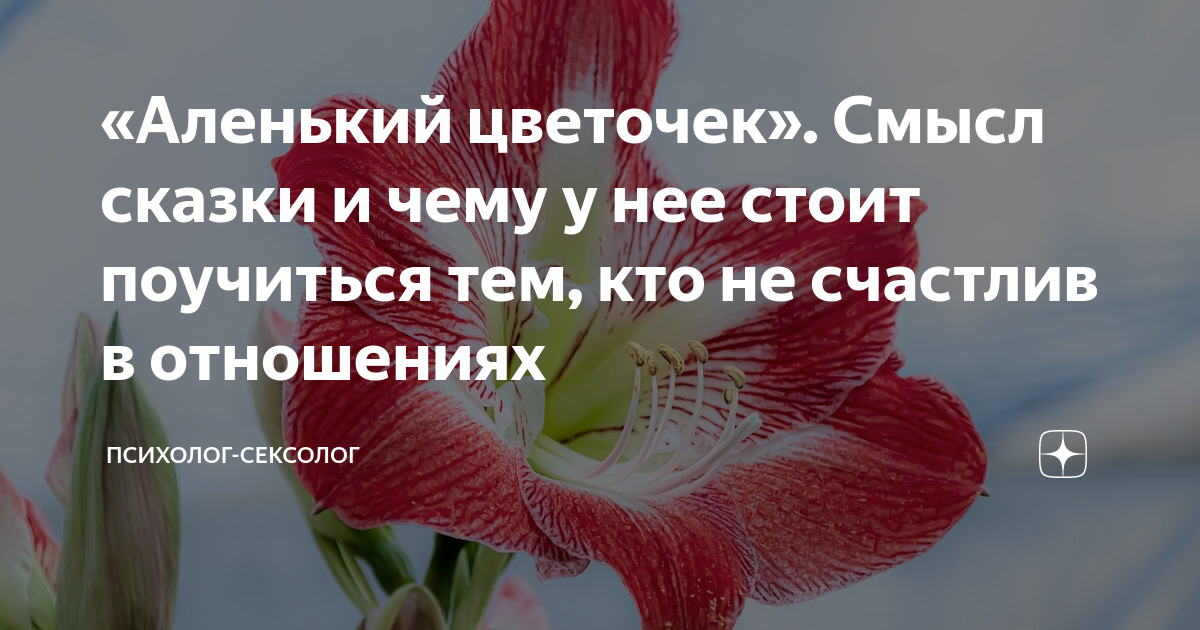 Аленький цветочек привезти: особенности и значение этого жеста