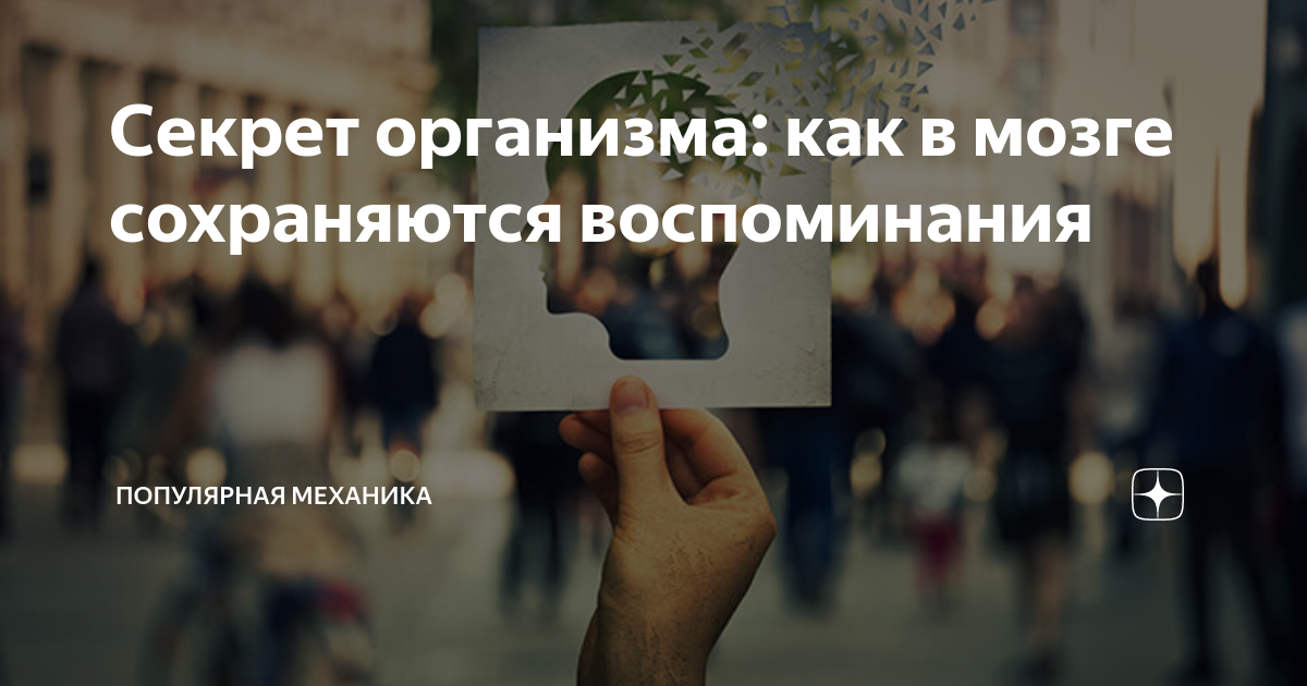 Воспоминания о прошлом. Волосы хранят воспоминания. Места хранят воспоминания. Места хранят воспоминания. Воспоминания о жизни.