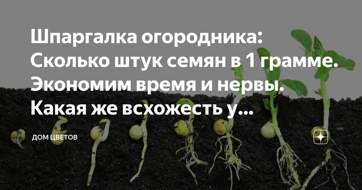 сколько в грамме кг