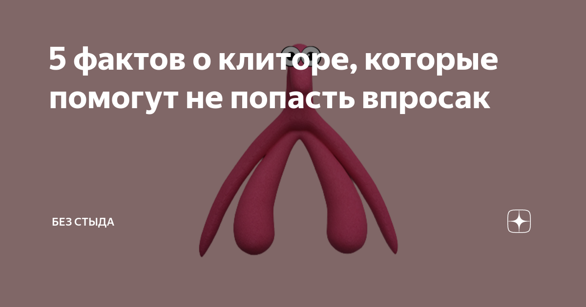 5 фактов о клиторе, которые помогут не попасть впросак | Без стыда | Дзен