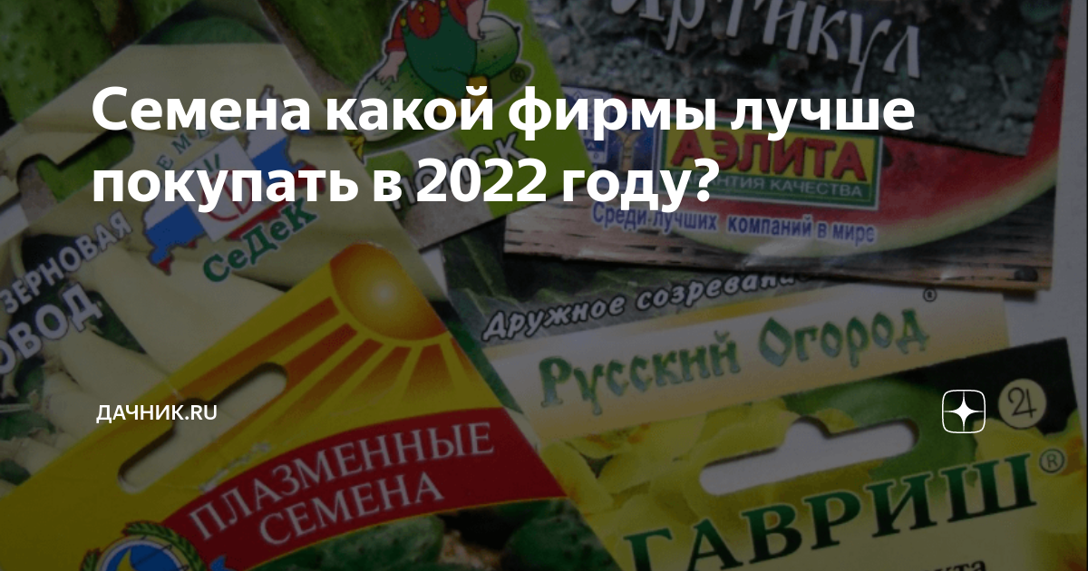 Семена какой фирмы лучше покупать в 2022 году? | Дачник.RU | Дзен