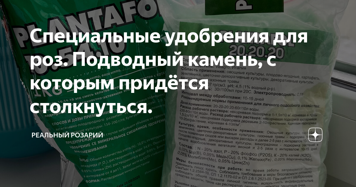 Специальные удобрения для роз. Подводный камень, с которым придётся ...