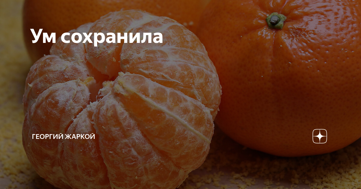 Стремление к самосовершенствованию. Мозг и сердце. Управление эмоциями. Умный мозг. Ум сохранила.