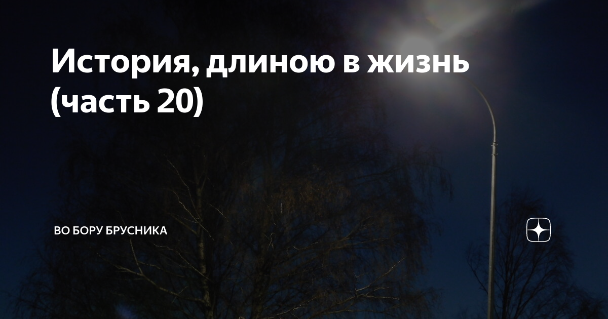 История, длиною в жизнь (часть 20) | Брусникины рассказы | Дзен