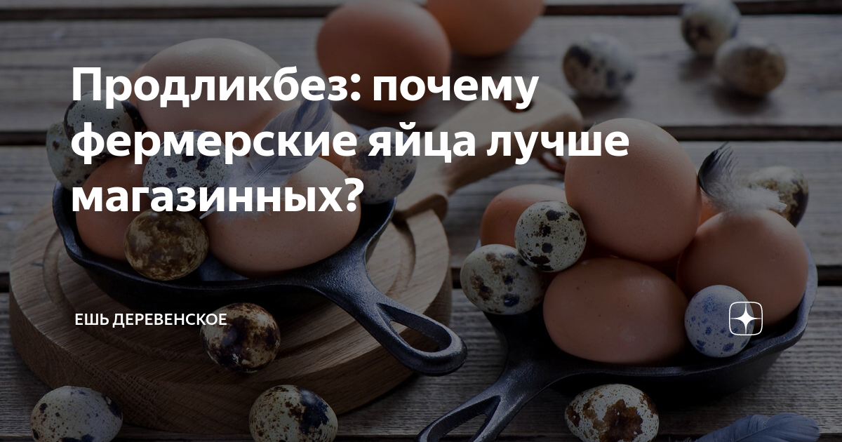 Как устроена мужская репродуктивная система