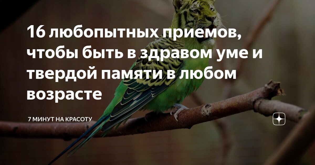 в здравом уме и твердой памяти на английском