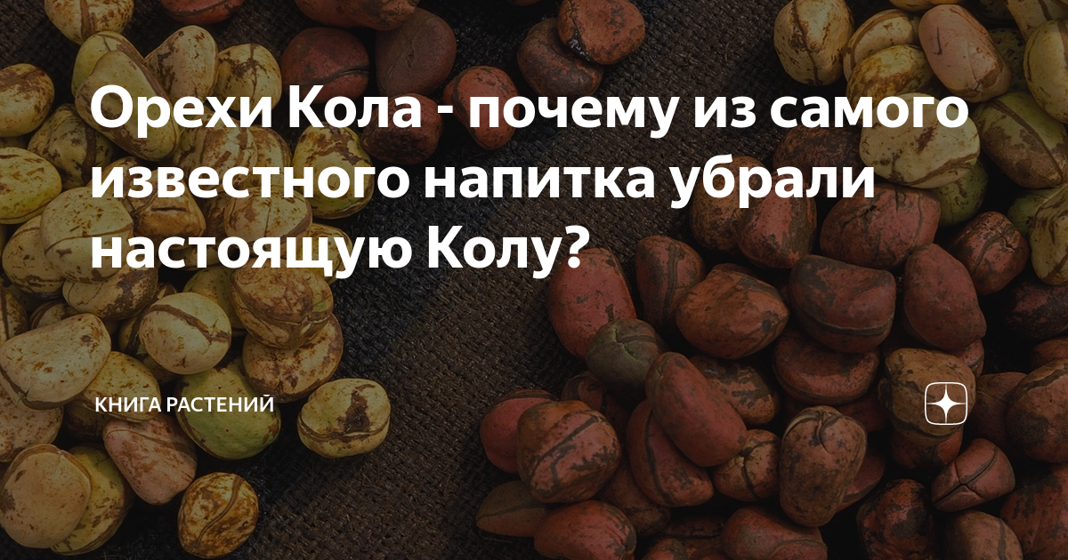 Орехи Кола - почему из самого известного напитка убрали настоящую Колу ...