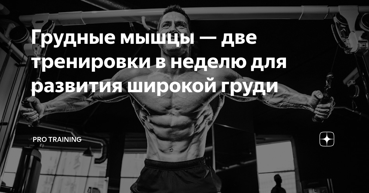 Грудные мышцы — две тренировки в неделю для развития широкой груди ...
