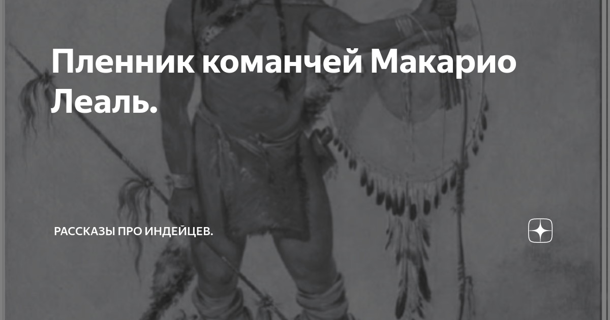 Секс -рассказ я принес сексуальную девушку из леса и трахнул ее!