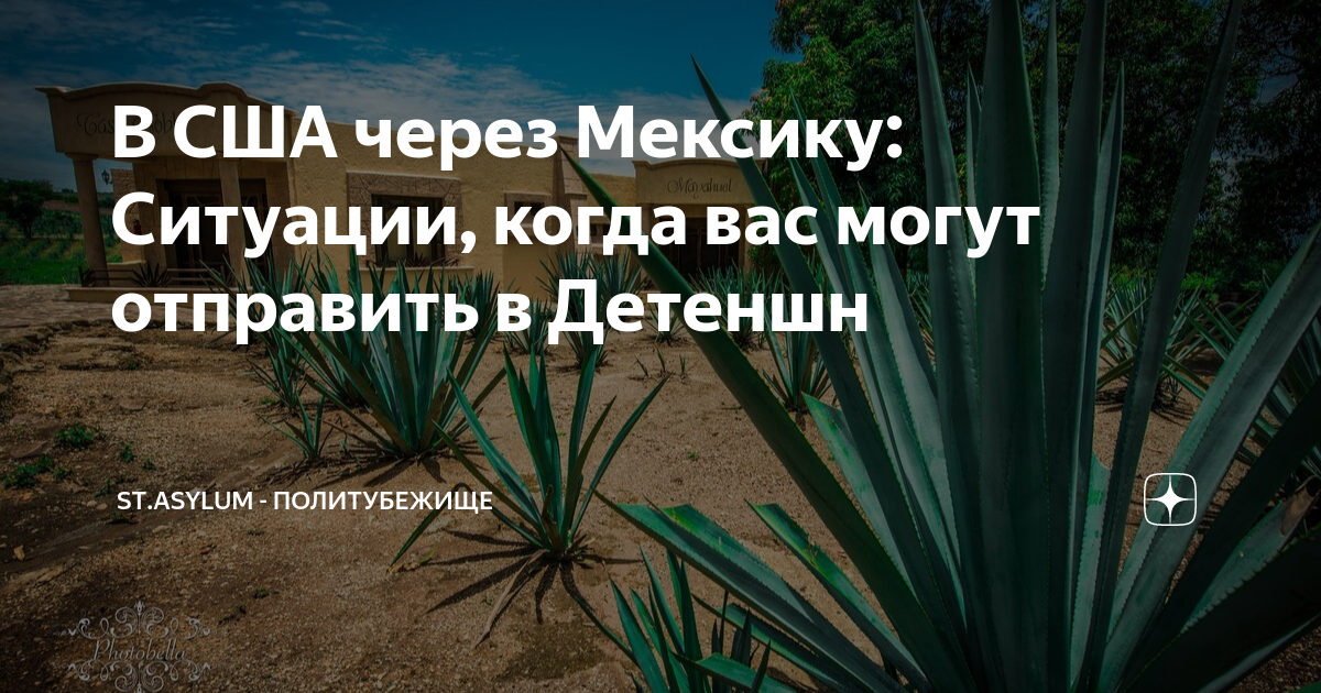 кыргызы в сша через мексику