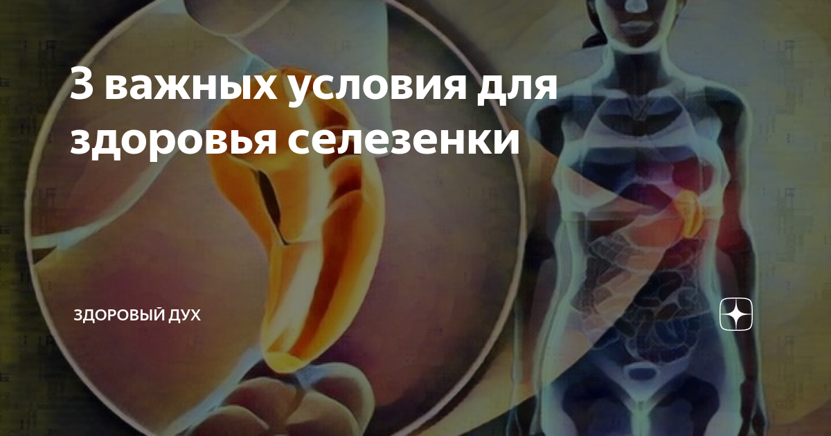 Продукты полезные для селезенки советы и рекомендации