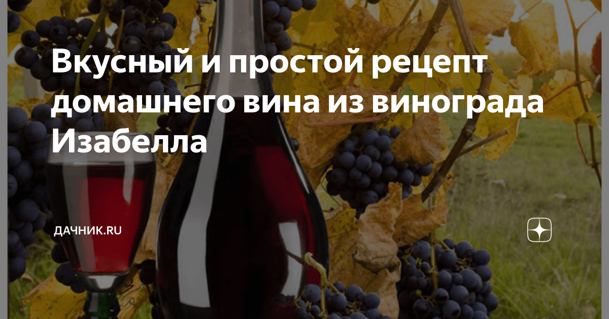 Вкусный и простой рецепт домашнего вина из винограда Изабелла | Дачник ...