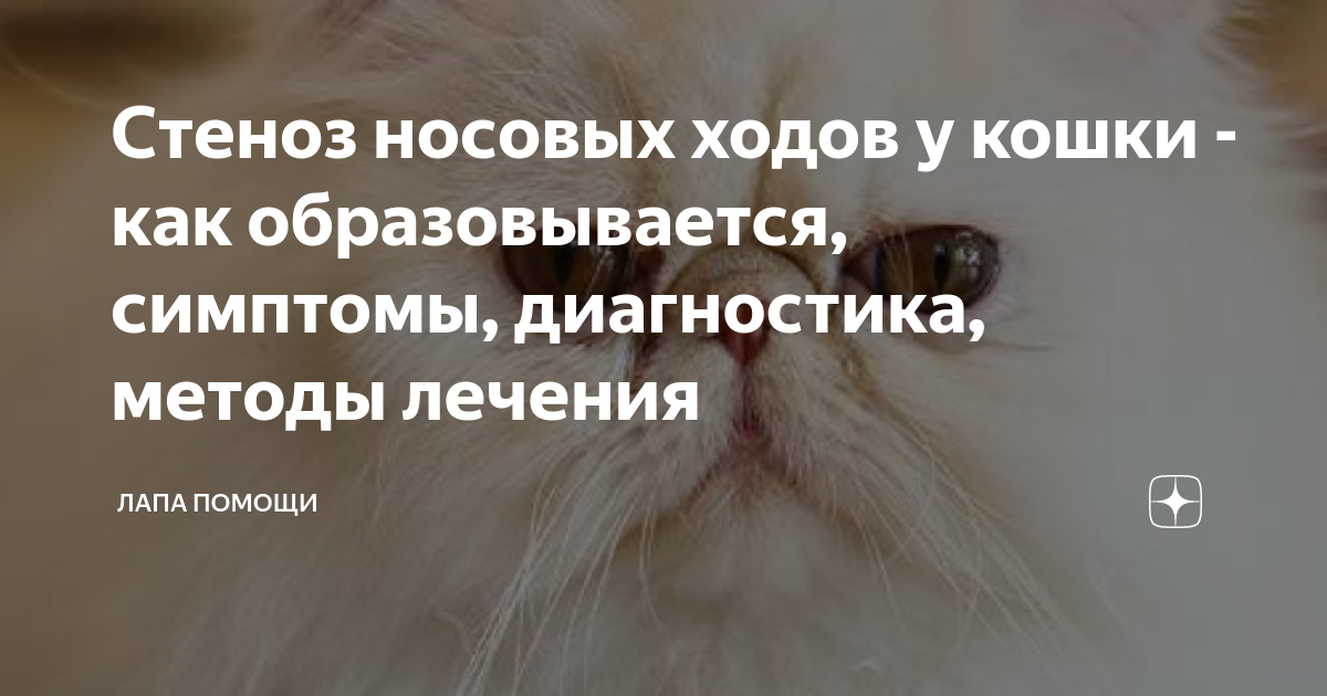 Обструктивные проявления: