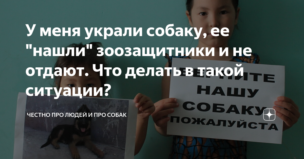 Украли собаку что делать. Украли собаку что делать. Украли собаку что делать. Маленькие породы собак для охраны. Украли собаку что делать.