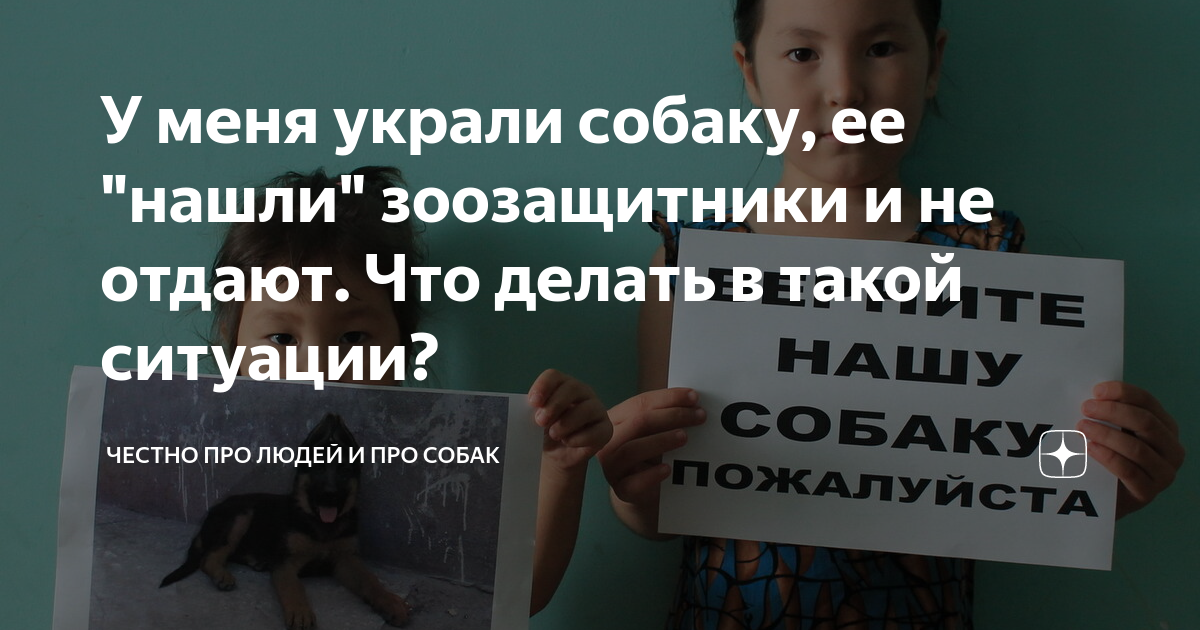 Если украли собаку: как сберечь верного друга и не стать жертвой преступников